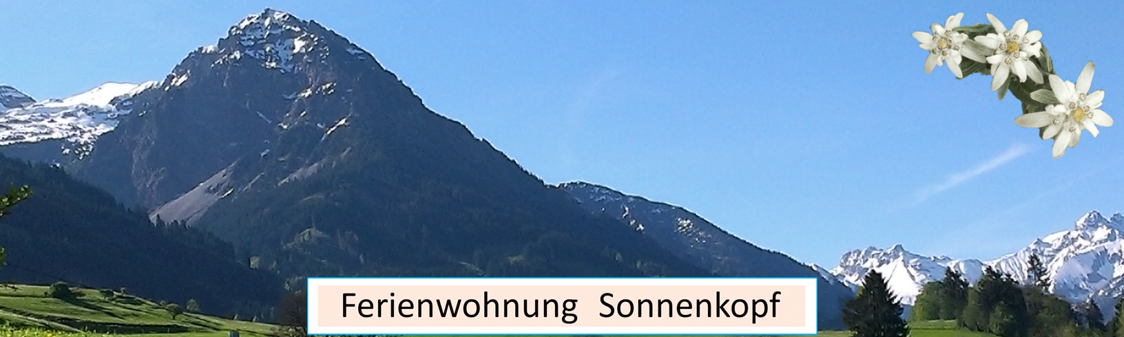 Panorama - Ferienwohnungen Sonnenkopf